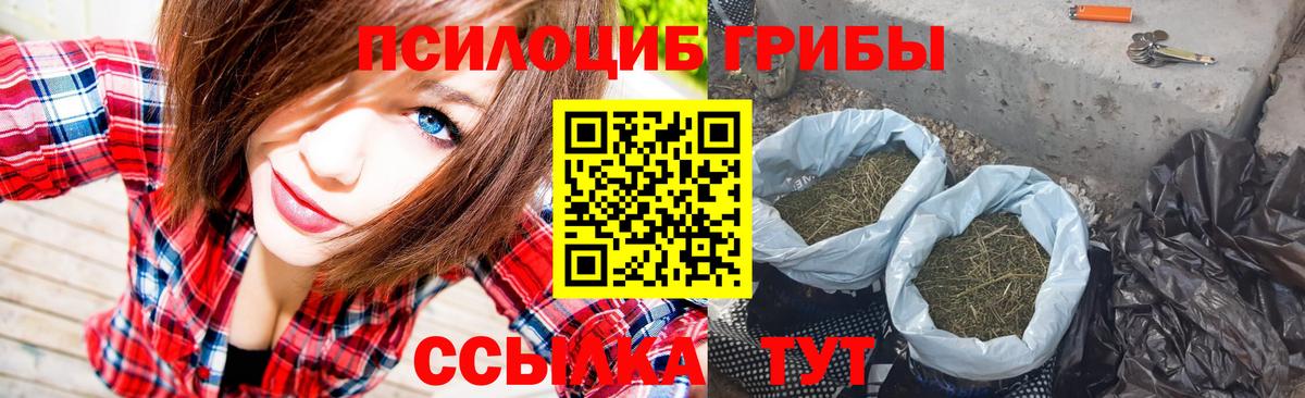 Псилоцибиновые грибы GOLDEN TEACHER  Вход с VPN  Галлюциногенные грибы Cubensis  продажа наркотиков  Ревда 