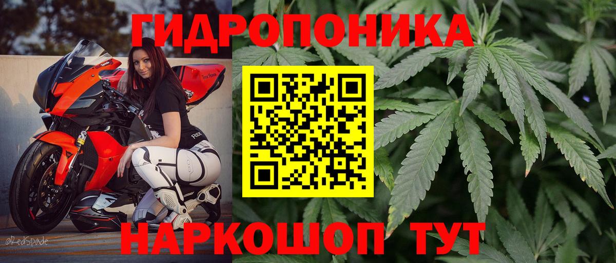 Марихуана MAZAR  Вход с VPN  Бошки Шишки MAZAR  Канабис LSD WEED  МАРИХУАНА LSD WEED  Ревда 
